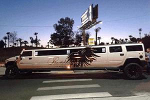 Find and arrange Las Vegas Wedding Services on Showtimevegas.com